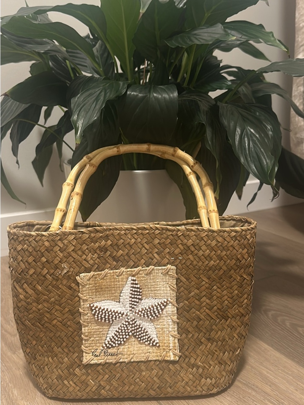 Woven Straw Mini Tote Bag with Bamboo Handles - Natural